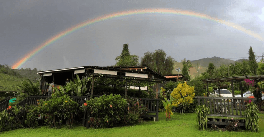 4. Niko Parrilla Campestre