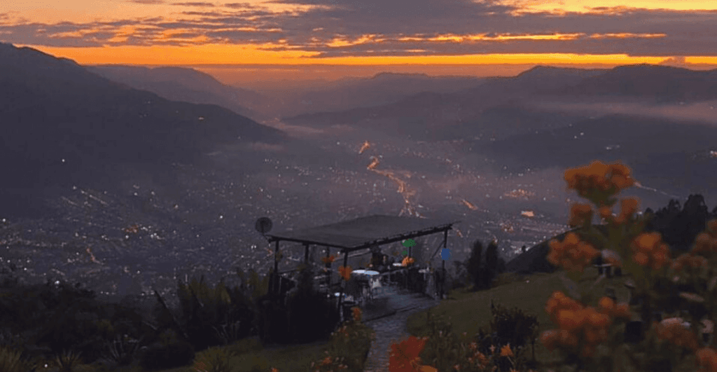 5. Vista al Vuelo